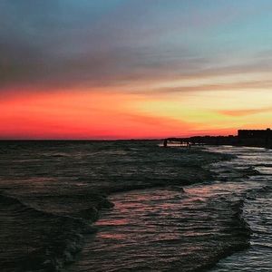 Meet your Posher, Isabella